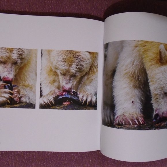 NATIONAL GEOGRAPHIC, BEAR: SPIRIT OF THE WILD. SPIRIT BEARS, GRIZZLIES, POLAR... - Picture 13 of 14